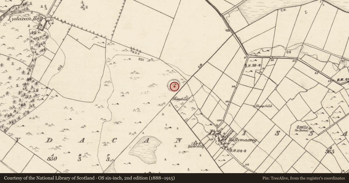 Ordnance Survey six-inch map, 2nd edition (1888–1915) covering the location of Ringfort - cashel, An Laigheachán, County Galway, with a pin at the register's coordinates