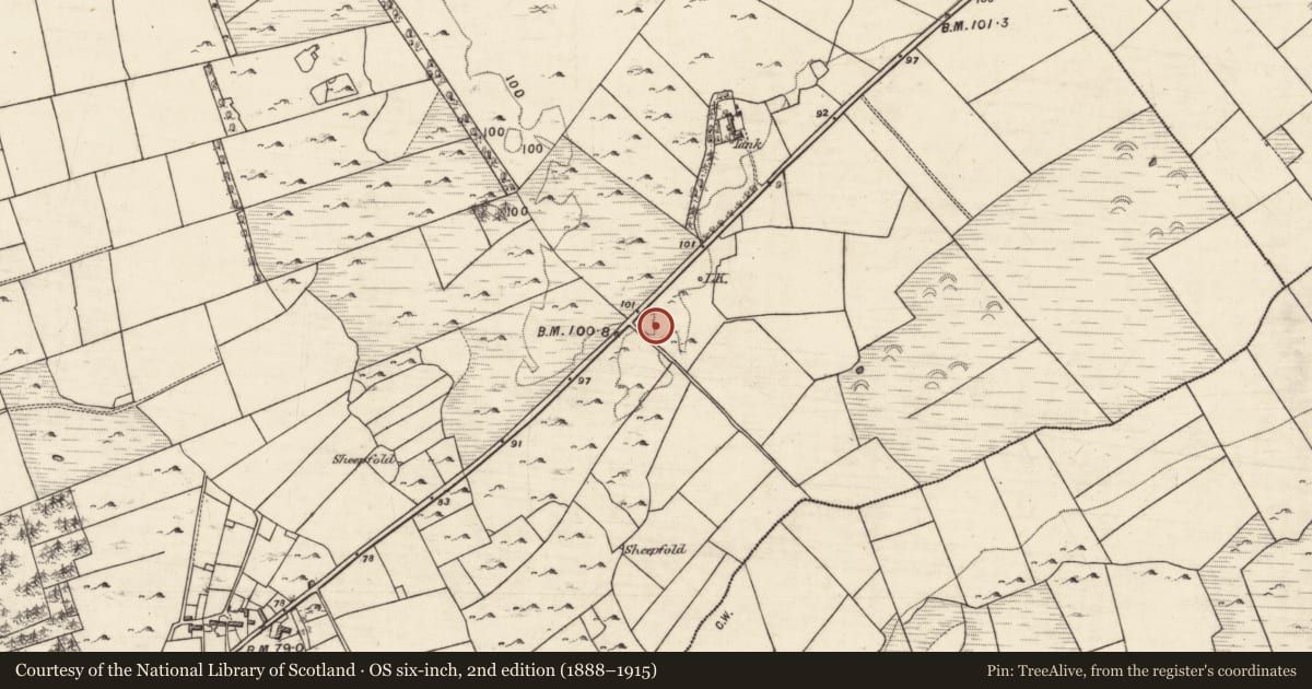 Ordnance Survey six-inch map, 2nd edition (1888–1915) covering the location of Ringfort - unclassified, An Laigheachán, County Galway, with a pin at the register's coordinates