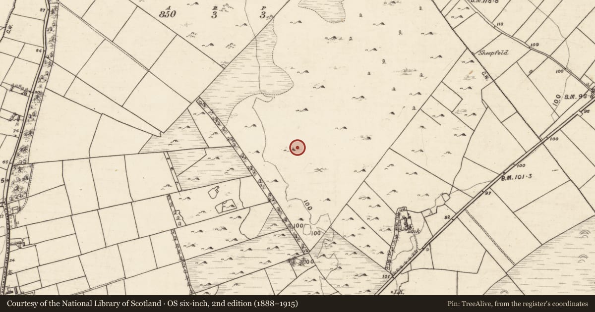Ordnance Survey six-inch map, 2nd edition (1888–1915) covering the location of Enclosure, An Laigheachán, County Galway, with a pin at the register's coordinates