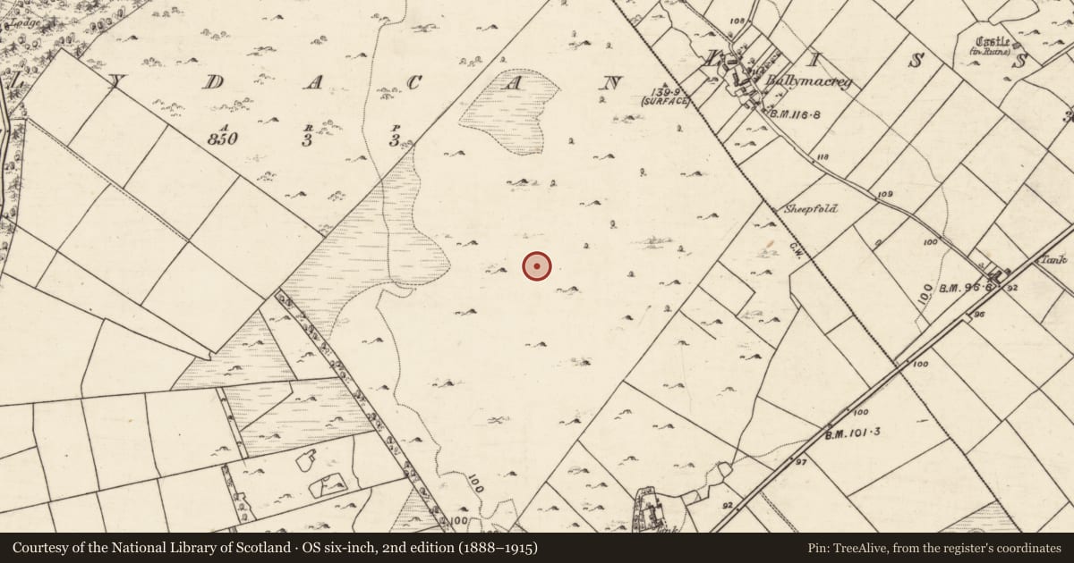 Ordnance Survey six-inch map, 2nd edition (1888–1915) covering the location of Field system, An Laigheachán, County Galway, with a pin at the register's coordinates