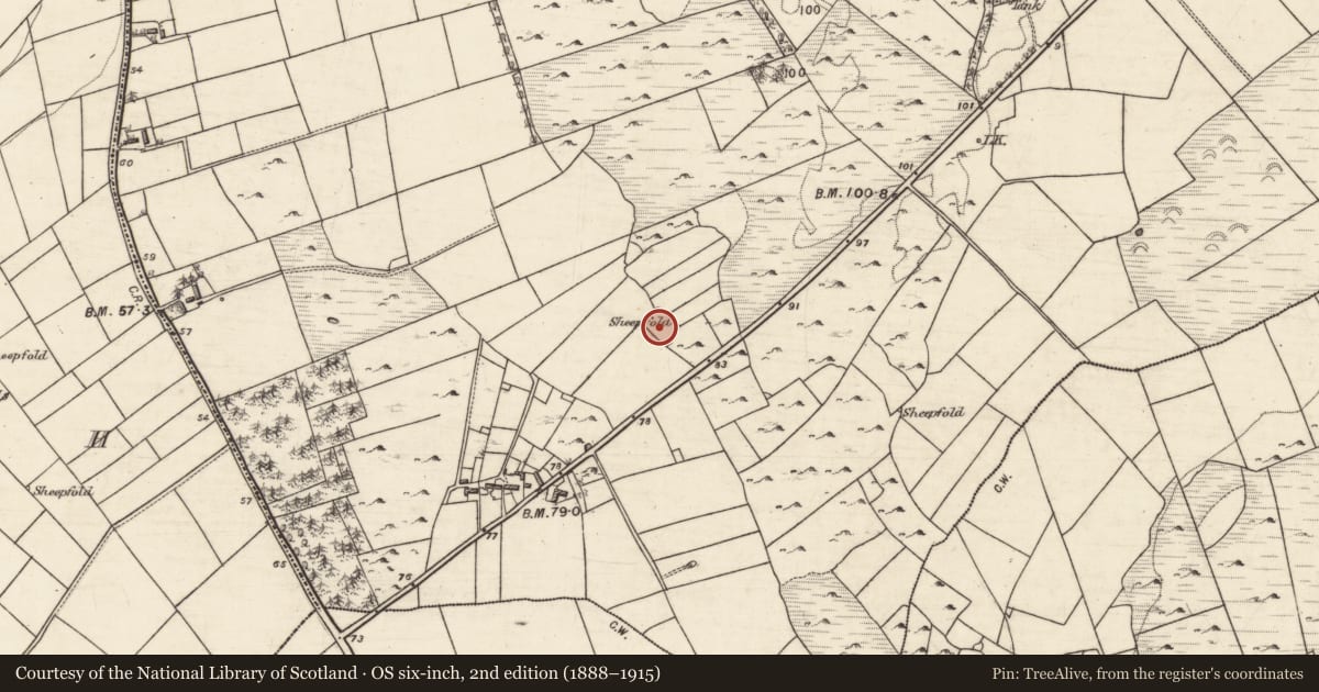 Ordnance Survey six-inch map, 2nd edition (1888–1915) covering the location of Ringfort - cashel, An Laigheachán, County Galway, with a pin at the register's coordinates