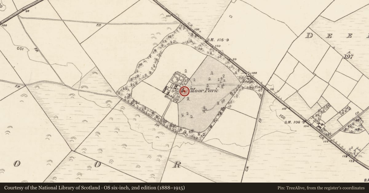 Ordnance Survey six-inch map, 2nd edition (1888–1915) covering the location of Country house, Moor, County Galway, with a pin at the register's coordinates