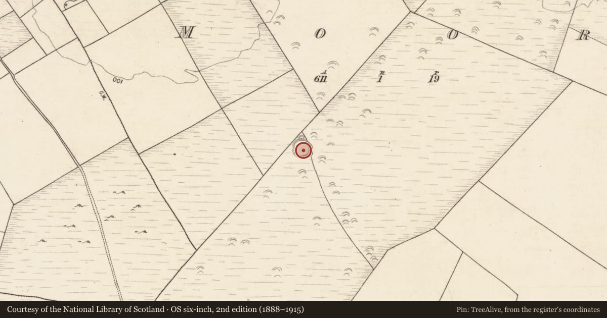 Ordnance Survey six-inch map, 2nd edition (1888–1915) covering the location of Ringfort - unclassified, Moor, County Galway, with a pin at the register's coordinates