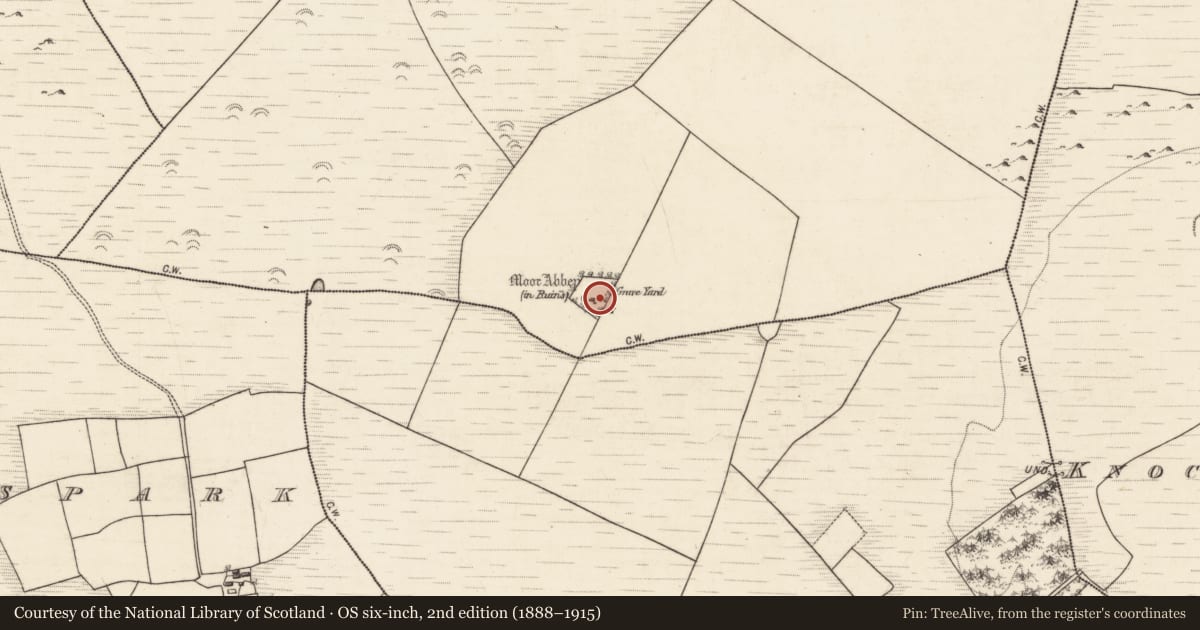 Ordnance Survey six-inch map, 2nd edition (1888–1915) covering the location of Graveyard, Moor, County Galway, with a pin at the register's coordinates