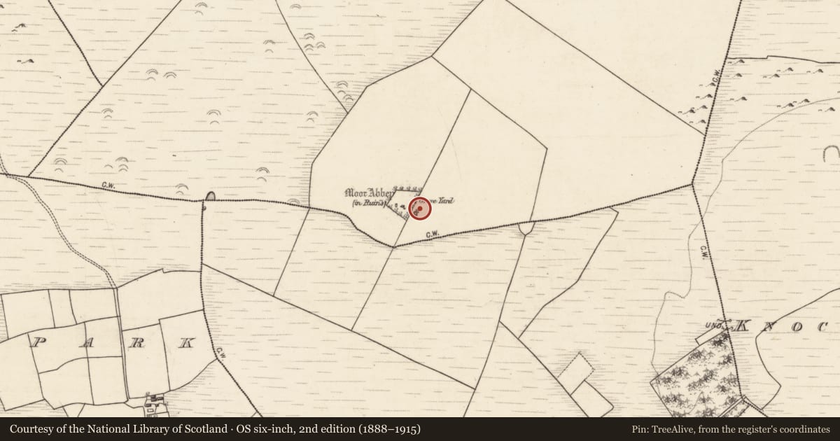 Ordnance Survey six-inch map, 2nd edition (1888–1915) covering the location of Well, Moor, County Galway, with a pin at the register's coordinates