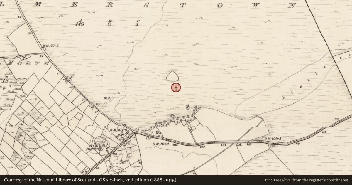 Ordnance Survey six-inch map, 2nd edition (1888–1915) covering the location of Enclosure, Palmerstown, County Galway, with a pin at the register's coordinates