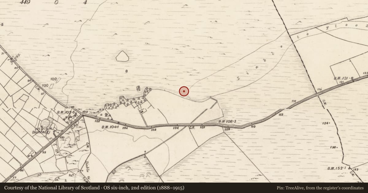 Ordnance Survey six-inch map, 2nd edition (1888–1915) covering the location of Moated site, Palmerstown, County Galway, with a pin at the register's coordinates
