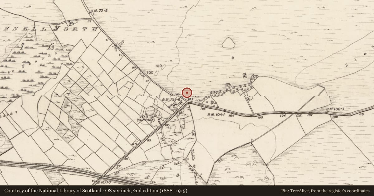 Ordnance Survey six-inch map, 2nd edition (1888–1915) covering the location of House - indeterminate date, Palmerstown, County Galway, with a pin at the register's coordinates