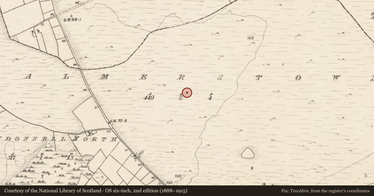 Ordnance Survey six-inch map, 2nd edition (1888–1915) covering the location of Barrow - bowl-barrow, Palmerstown, County Galway, with a pin at the register's coordinates