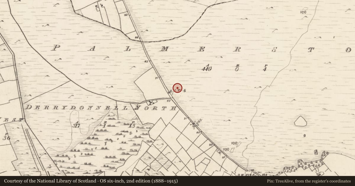 Ordnance Survey six-inch map, 2nd edition (1888–1915) covering the location of Barrow - ring-barrow, Palmerstown, County Galway, with a pin at the register's coordinates