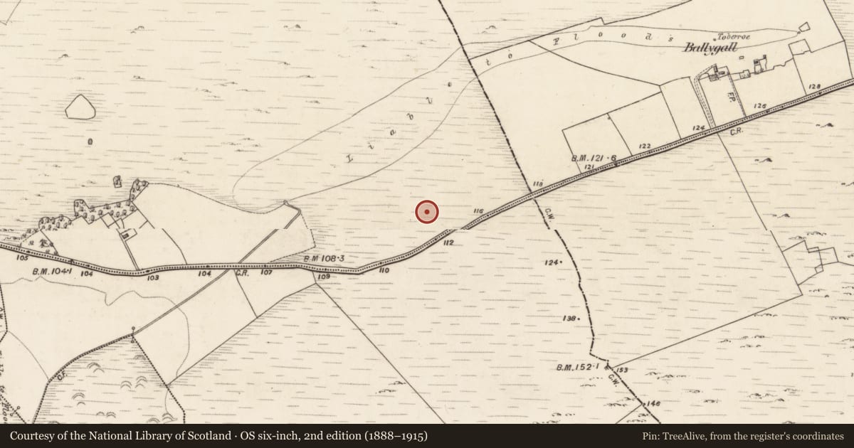 Ordnance Survey six-inch map, 2nd edition (1888–1915) covering the location of Fulacht fia, Palmerstown, County Galway, with a pin at the register's coordinates