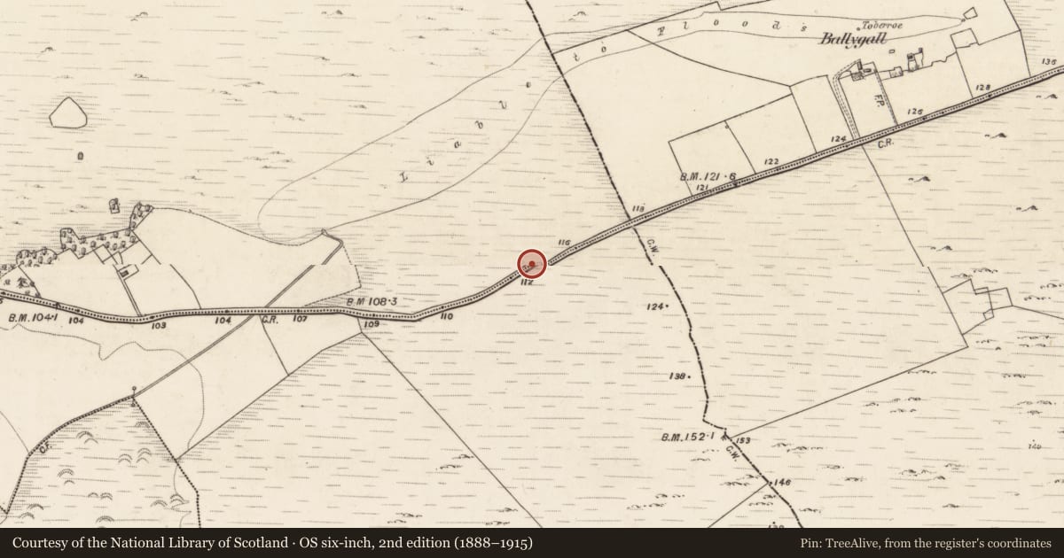 Ordnance Survey six-inch map, 2nd edition (1888–1915) covering the location of Fulacht fia, Palmerstown, County Galway, with a pin at the register's coordinates