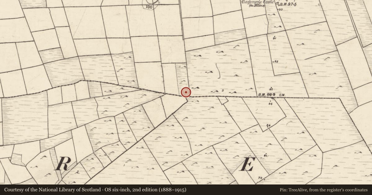 Ordnance Survey six-inch map, 2nd edition (1888–1915) covering the location of Ringfort - cashel, An Carn Mór Thiar, County Galway, with a pin at the register's coordinates
