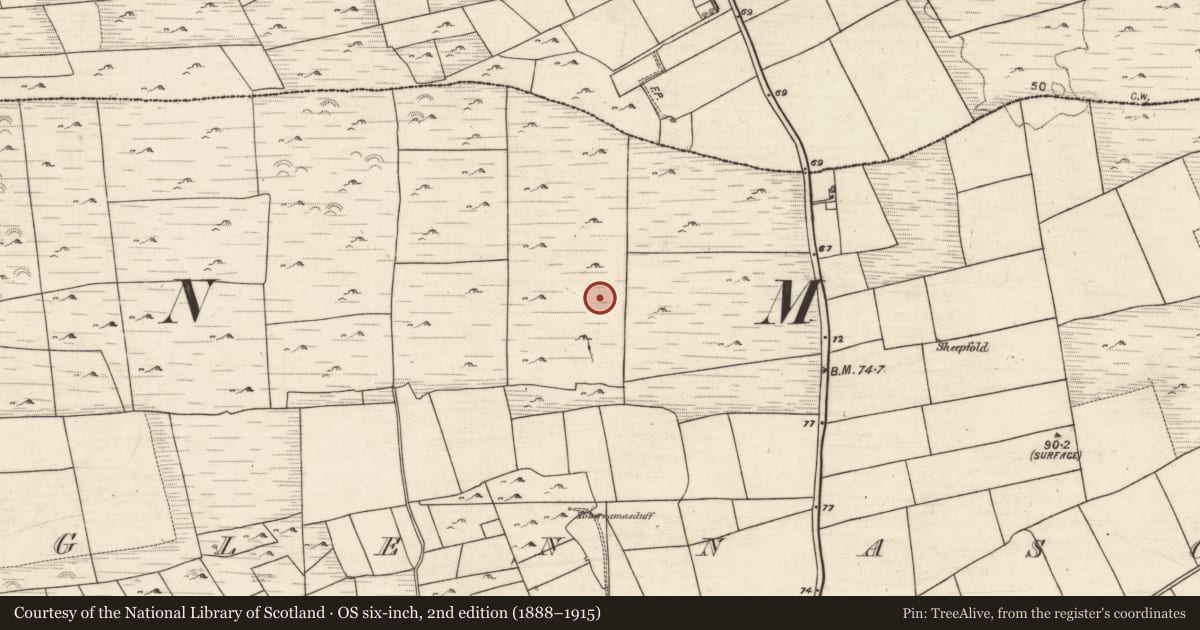 Ordnance Survey six-inch map, 2nd edition (1888–1915) covering the location of Barrow - ring-barrow, Glennascaul, County Galway, with a pin at the register's coordinates