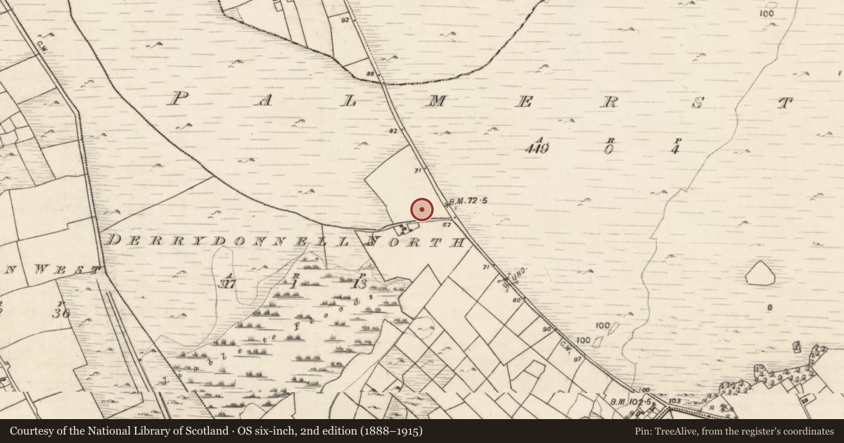 Ordnance Survey six-inch map, 2nd edition (1888–1915) covering the location of Barrow - ring-barrow, Palmerstown, County Galway, with a pin at the register's coordinates