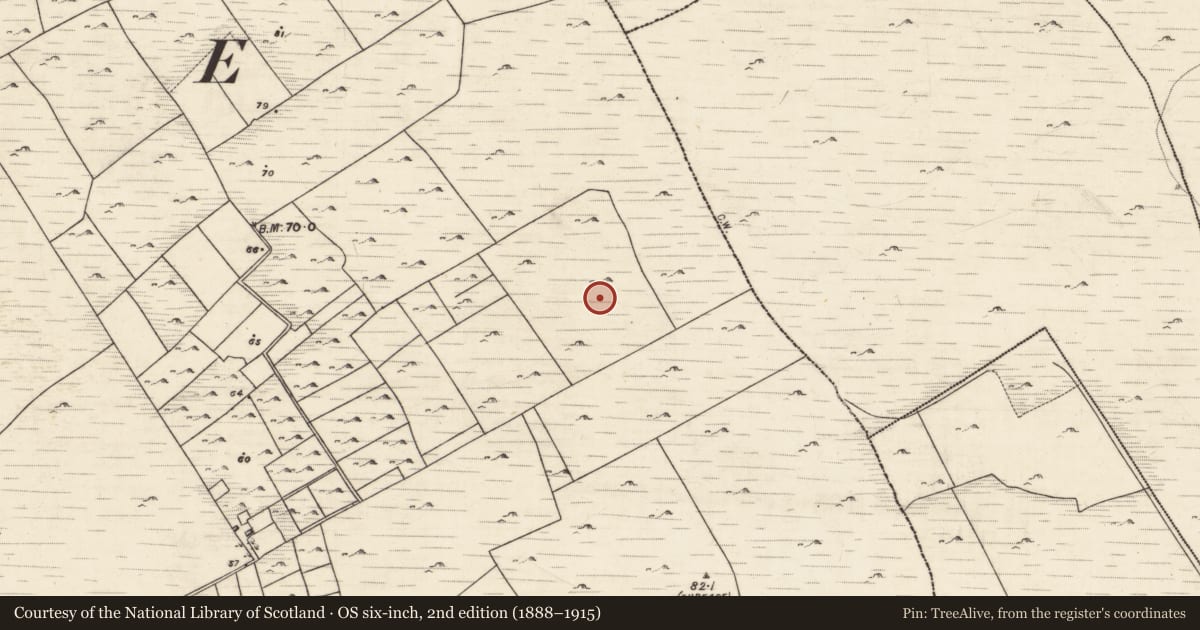 Ordnance Survey six-inch map, 2nd edition (1888–1915) covering the location of Megalithic structure, Frenchfort, County Galway, with a pin at the register's coordinates