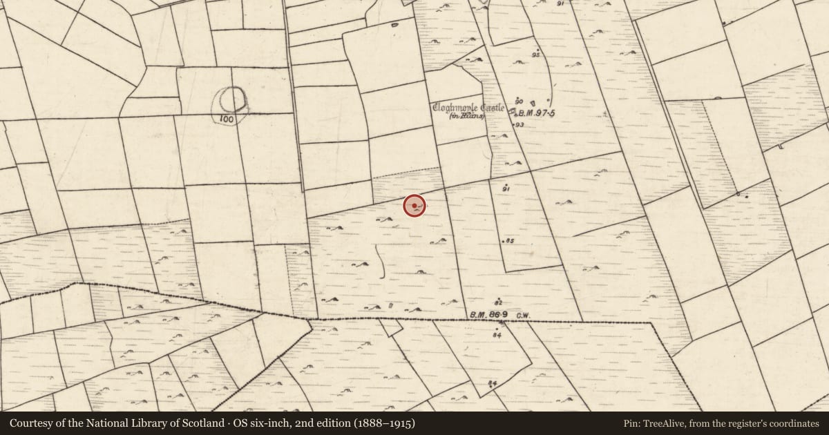Ordnance Survey six-inch map, 2nd edition (1888–1915) covering the location of Concentric enclosure, An Carn Mór Thiar, County Galway, with a pin at the register's coordinates