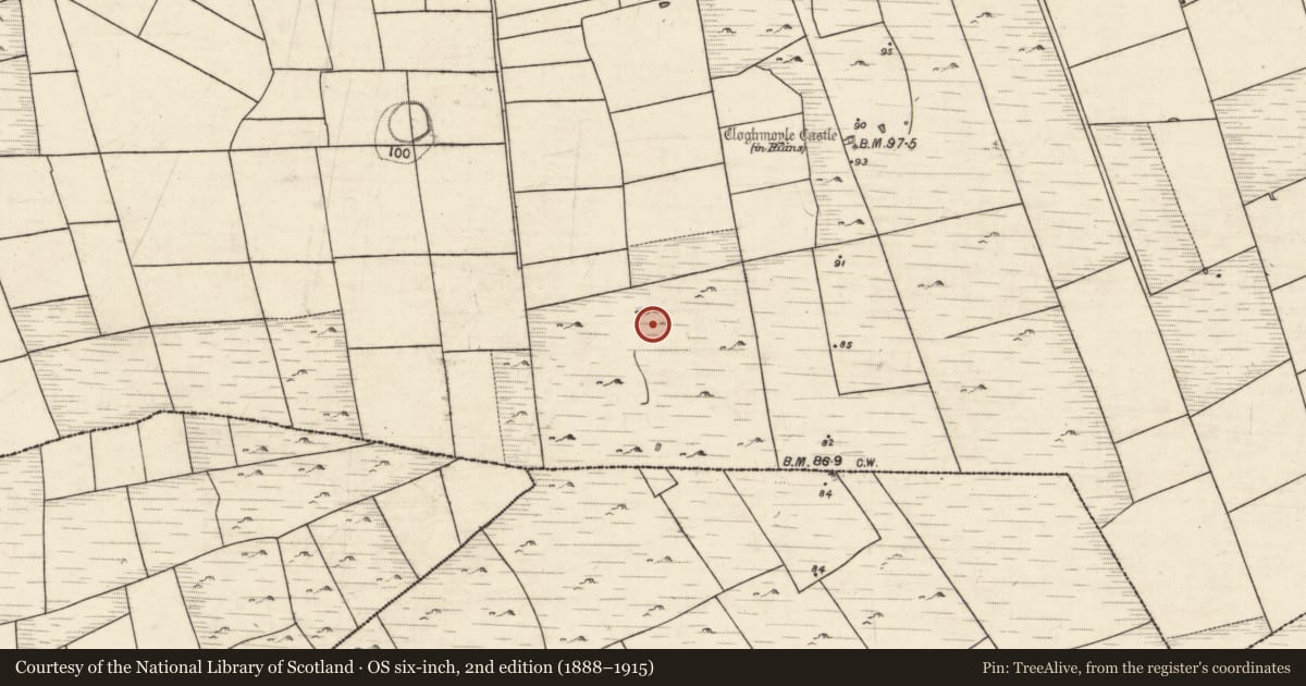 Ordnance Survey six-inch map, 2nd edition (1888–1915) covering the location of Field system, An Carn Mór Thiar, County Galway, with a pin at the register's coordinates