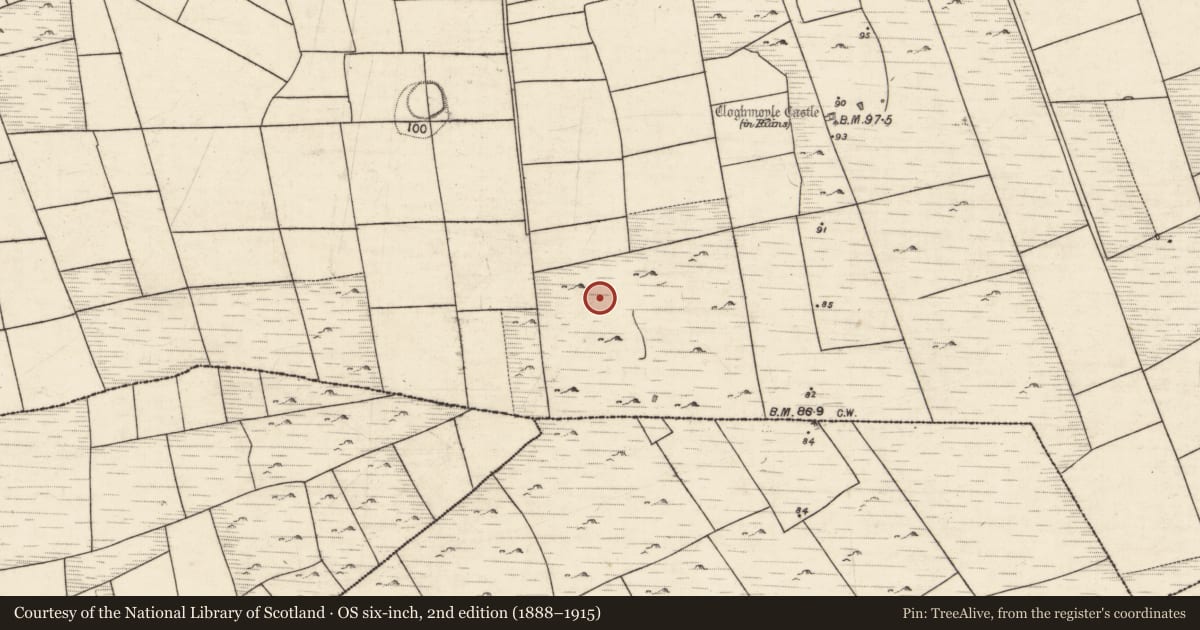 Ordnance Survey six-inch map, 2nd edition (1888–1915) covering the location of Enclosure, An Carn Mór Thiar, County Galway, with a pin at the register's coordinates
