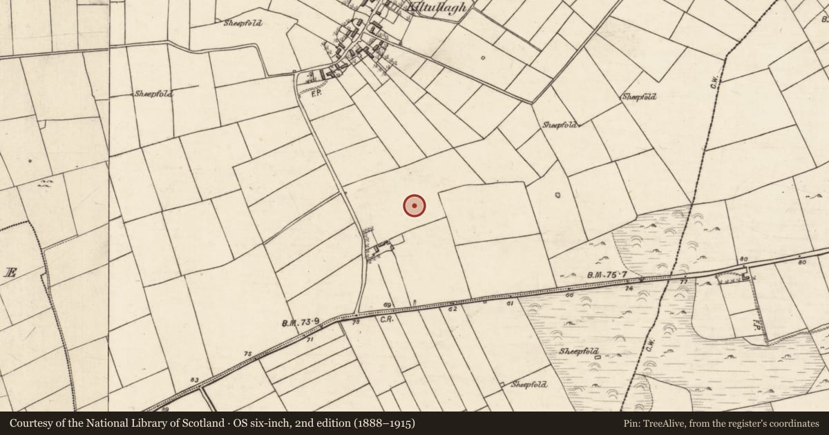 Ordnance Survey six-inch map, 2nd edition (1888–1915) covering the location of Ring-ditch, Kiltullagh, County Galway, with a pin at the register's coordinates