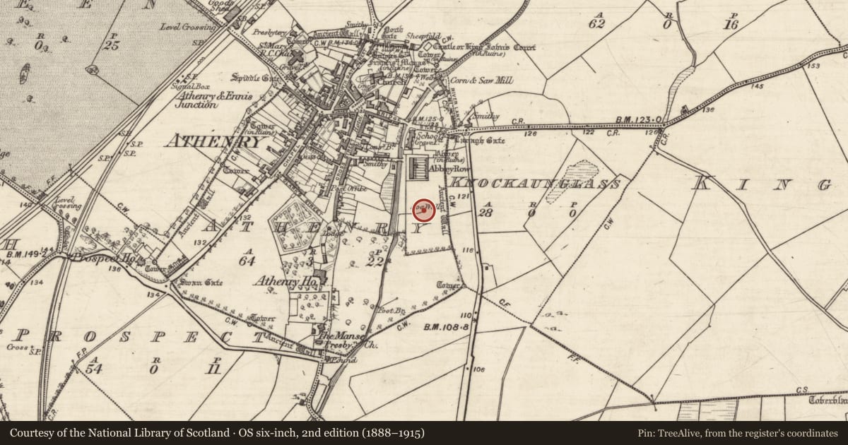 Ordnance Survey six-inch map, 2nd edition (1888–1915) covering the location of Well, Athenry, County Galway, with a pin at the register's coordinates