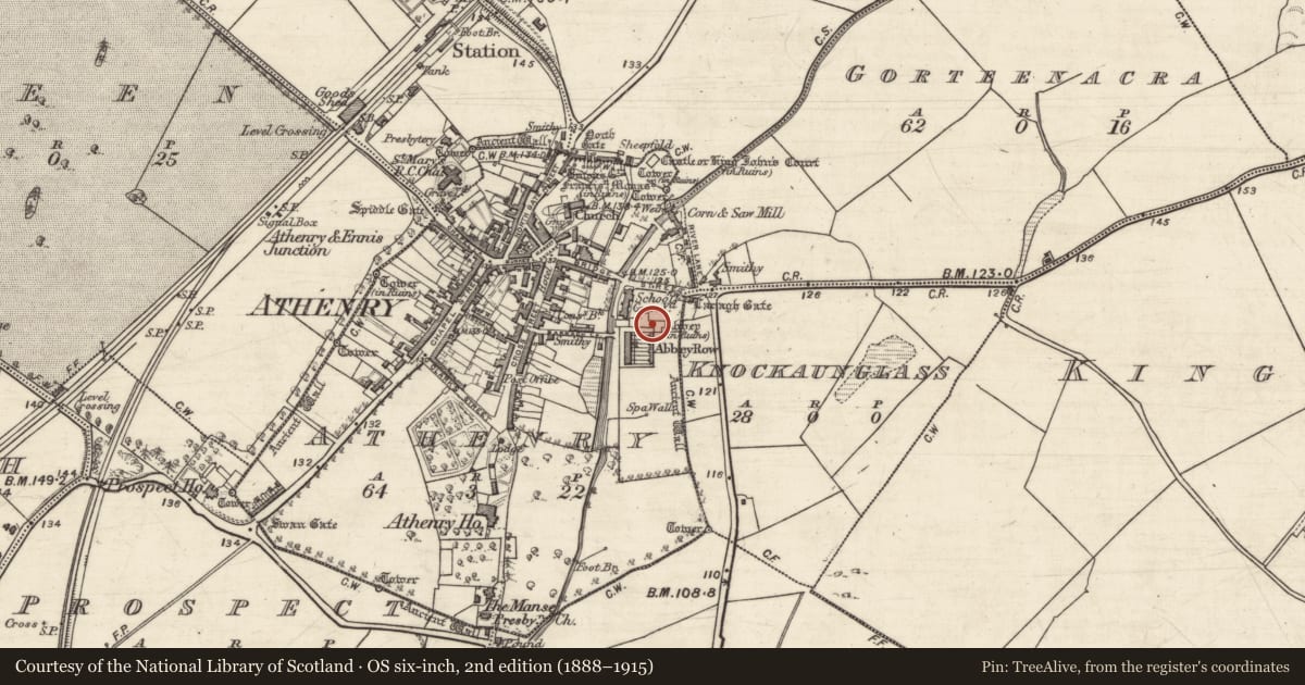 Ordnance Survey six-inch map, 2nd edition (1888–1915) covering the location of Graveslab, Athenry, County Galway, with a pin at the register's coordinates