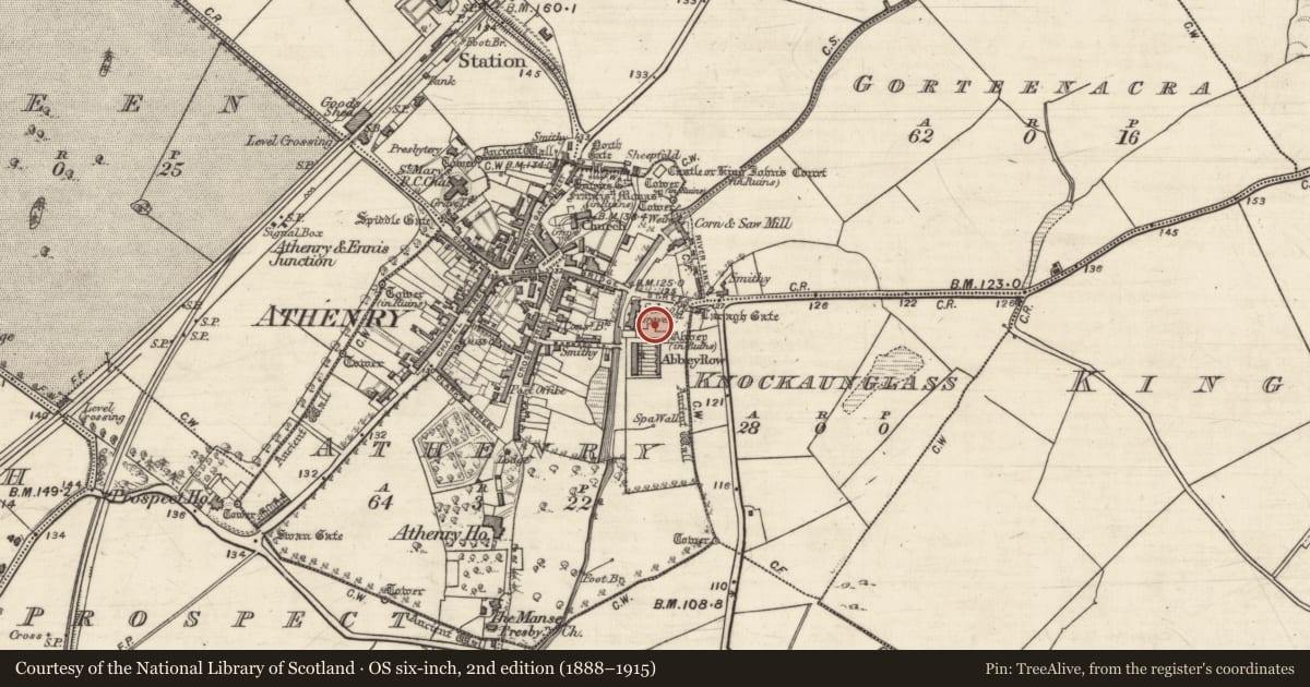 Ordnance Survey six-inch map, 2nd edition (1888–1915) covering the location of Graveslab, Athenry, County Galway, with a pin at the register's coordinates