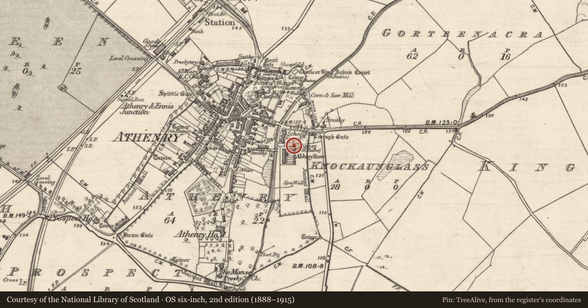 Ordnance Survey six-inch map, 2nd edition (1888–1915) covering the location of Graveslab, Athenry, County Galway, with a pin at the register's coordinates