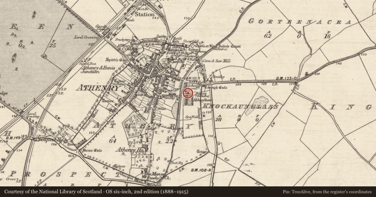 Ordnance Survey six-inch map, 2nd edition (1888–1915) covering the location of Wall monument, Athenry, County Galway, with a pin at the register's coordinates