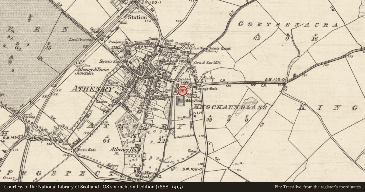 Ordnance Survey six-inch map, 2nd edition (1888–1915) covering the location of Wall monument, Athenry, County Galway, with a pin at the register's coordinates