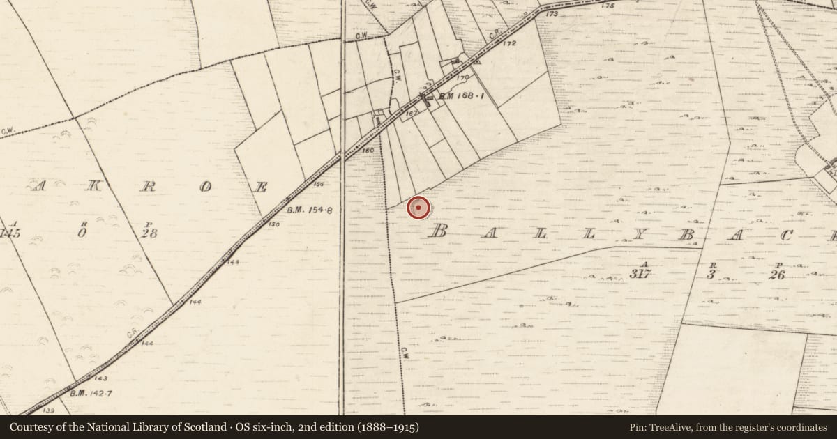 Ordnance Survey six-inch map, 2nd edition (1888–1915) covering the location of Ringfort - unclassified, Ballybackagh, County Galway, with a pin at the register's coordinates