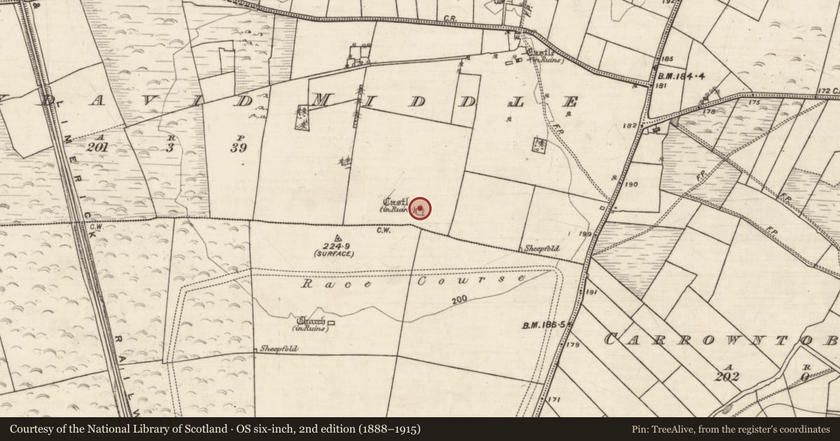 Ordnance Survey six-inch map, 2nd edition (1888–1915) covering the location of Castle - tower house, Ballydavid Middle, County Galway, with a pin at the register's coordinates