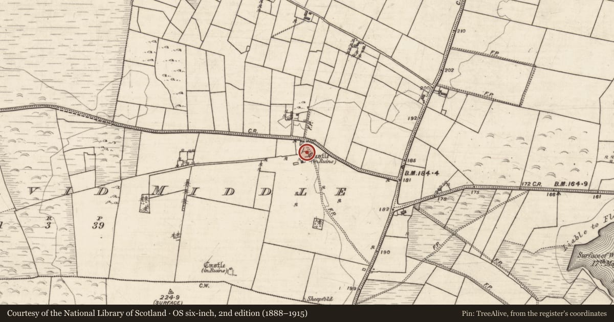 Ordnance Survey six-inch map, 2nd edition (1888–1915) covering the location of Castle - unclassified, Ballydavid Middle, County Galway, with a pin at the register's coordinates