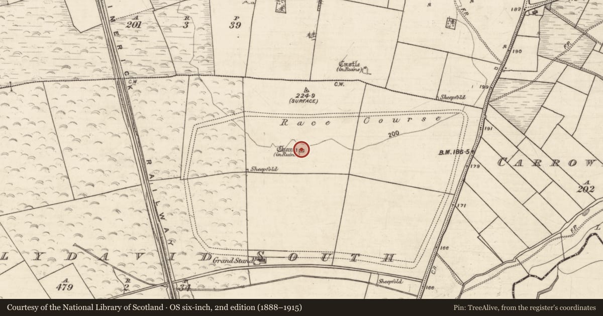 Ordnance Survey six-inch map, 2nd edition (1888–1915) covering the location of Church, Ballydavid South, County Galway, with a pin at the register's coordinates