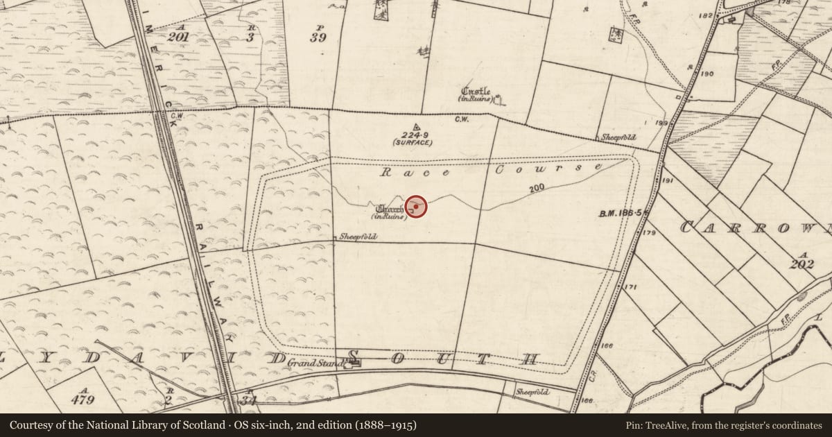 Ordnance Survey six-inch map, 2nd edition (1888–1915) covering the location of Children's burial ground, Ballydavid South, County Galway, with a pin at the register's coordinates