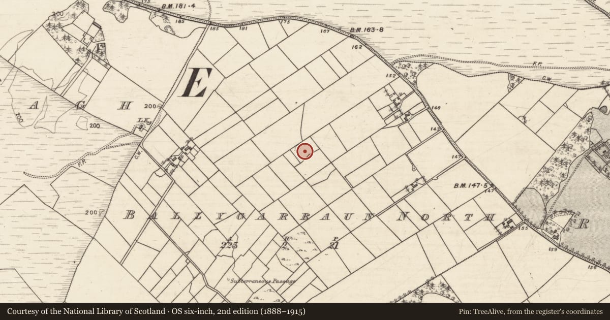 Ordnance Survey six-inch map, 2nd edition (1888–1915) covering the location of Ringfort - rath, Ballygarraun North, County Galway, with a pin at the register's coordinates