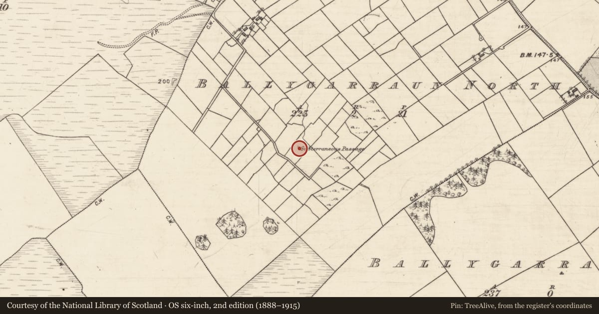 Ordnance Survey six-inch map, 2nd edition (1888–1915) covering the location of Souterrain, Ballygarraun North, County Galway, with a pin at the register's coordinates