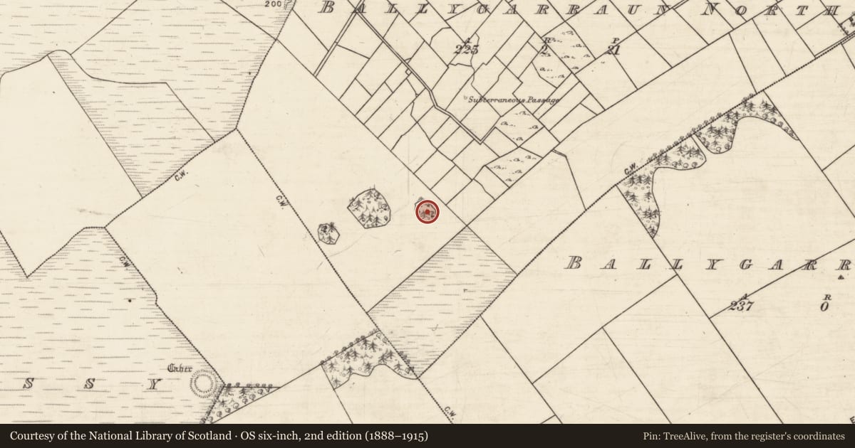 Ordnance Survey six-inch map, 2nd edition (1888–1915) covering the location of Enclosure, Ballygarraun North, County Galway, with a pin at the register's coordinates