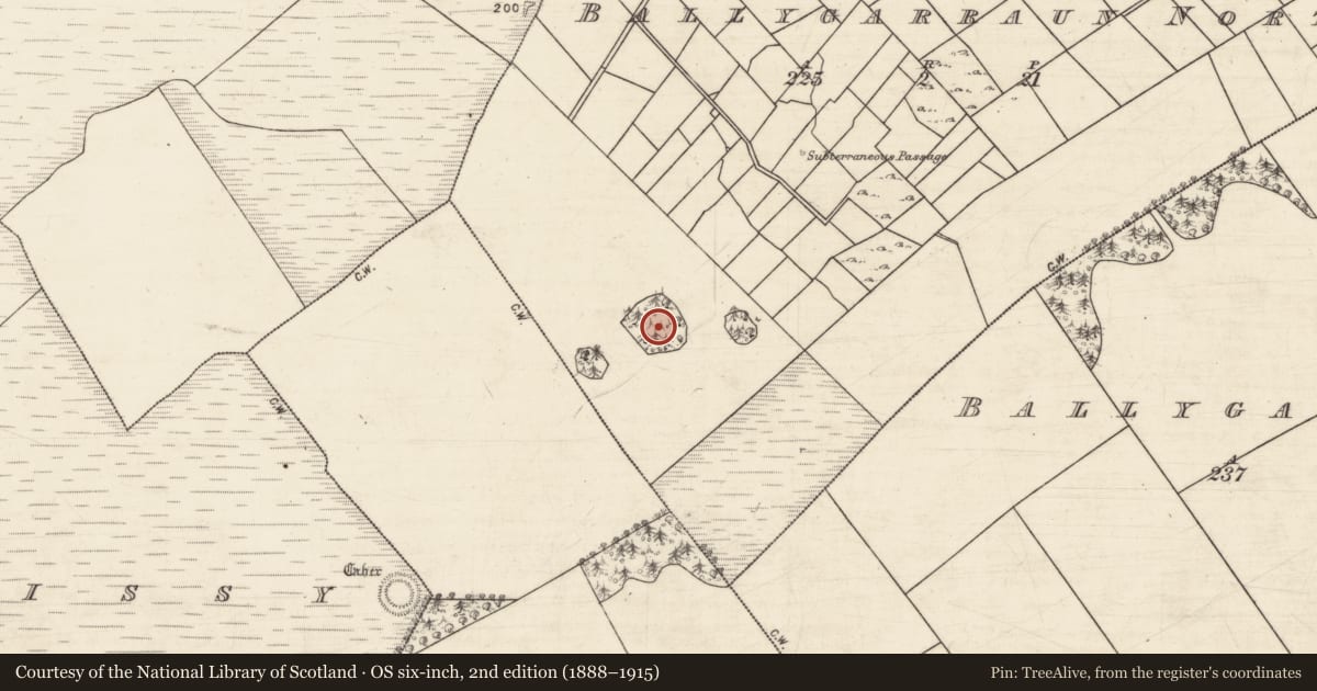 Ordnance Survey six-inch map, 2nd edition (1888–1915) covering the location of Ringfort - rath, Ballygarraun North, County Galway, with a pin at the register's coordinates