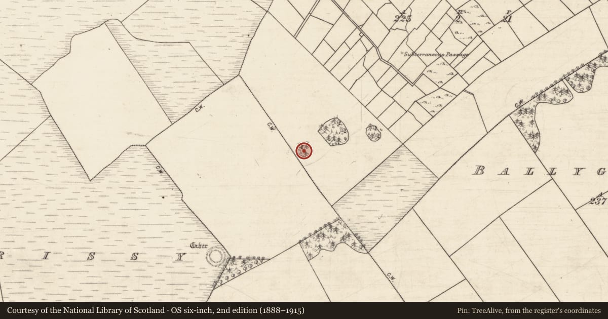 Ordnance Survey six-inch map, 2nd edition (1888–1915) covering the location of Ringfort - rath, Ballygarraun North, County Galway, with a pin at the register's coordinates