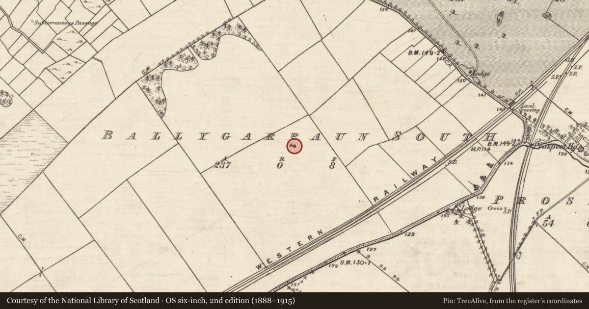 Ordnance Survey six-inch map, 2nd edition (1888–1915) covering the location of Enclosure, Ballygarraun South, County Galway, with a pin at the register's coordinates