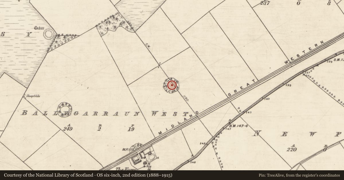 Ordnance Survey six-inch map, 2nd edition (1888–1915) covering the location of Designed landscape - folly, Ballygarraun South, Ballygarraun West, County Galway, with a pin at the register's coordinates