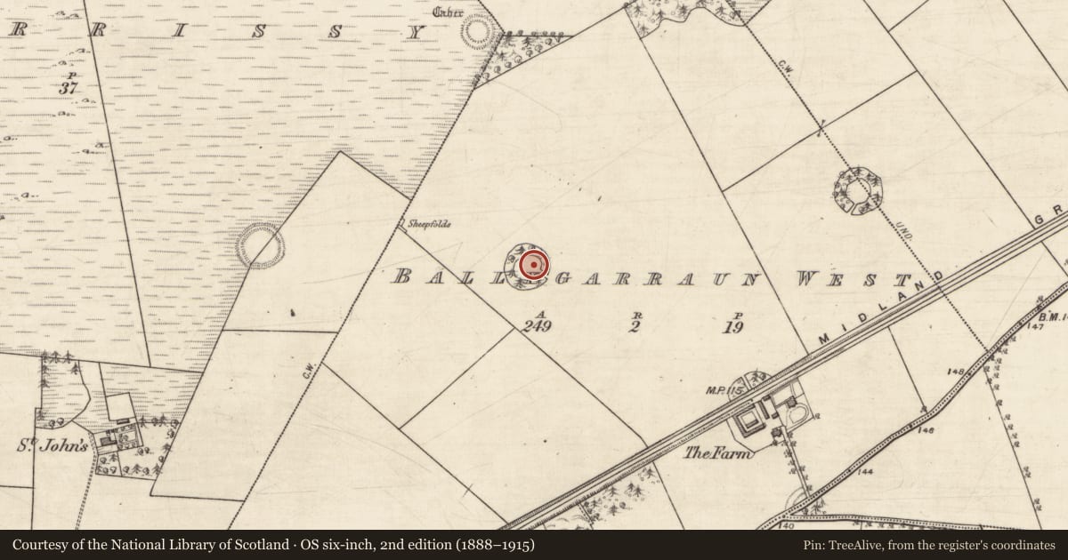 Ordnance Survey six-inch map, 2nd edition (1888–1915) covering the location of Designed landscape - folly, Ballygarraun West, County Galway, with a pin at the register's coordinates