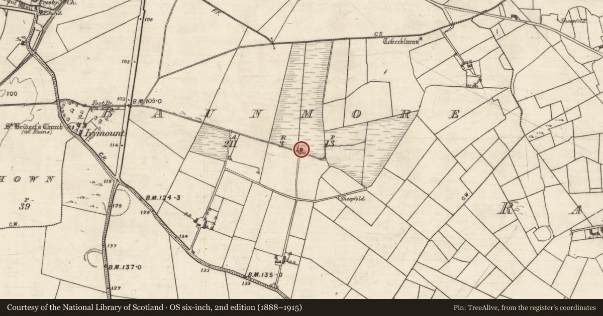 Ordnance Survey six-inch map, 2nd edition (1888–1915) covering the location of Well, Baunmore, County Galway, with a pin at the register's coordinates