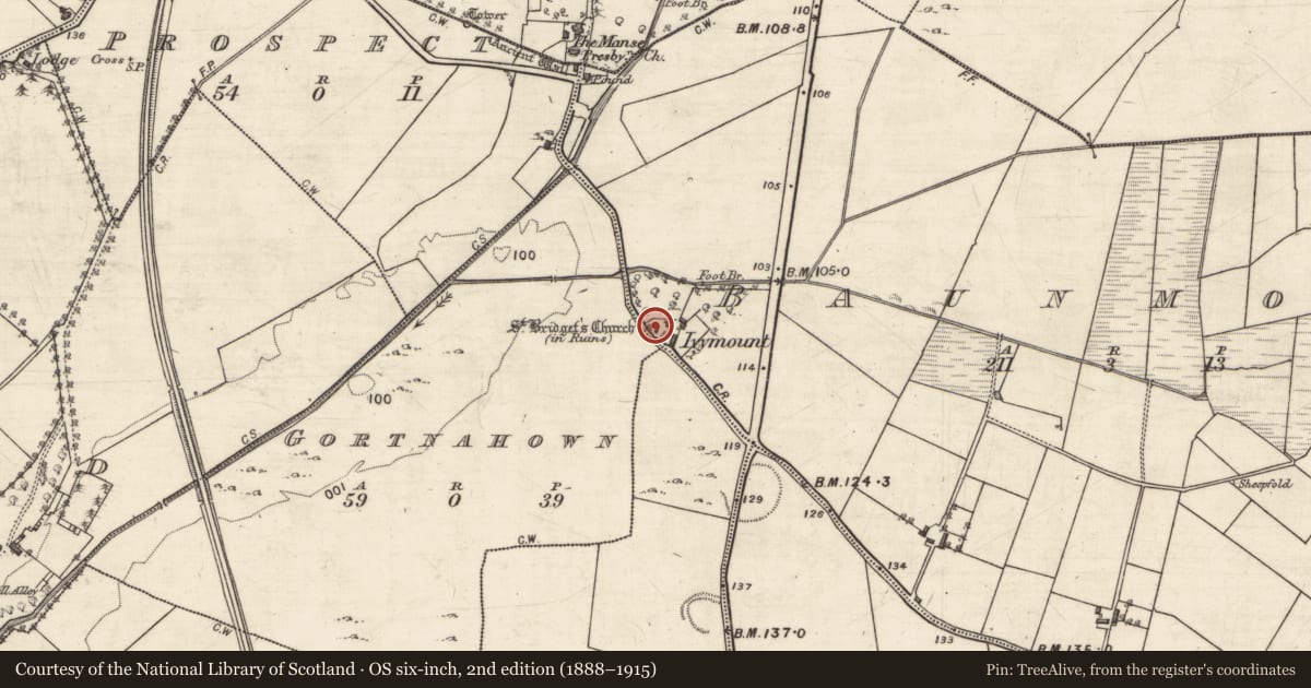 Ordnance Survey six-inch map, 2nd edition (1888–1915) covering the location of Church, Baunmore, County Galway, with a pin at the register's coordinates