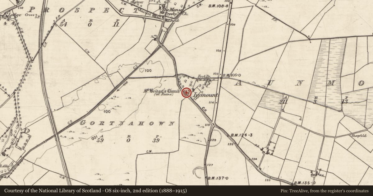 Ordnance Survey six-inch map, 2nd edition (1888–1915) covering the location of Memorial stone (present location), Baunmore, County Galway, with a pin at the register's coordinates