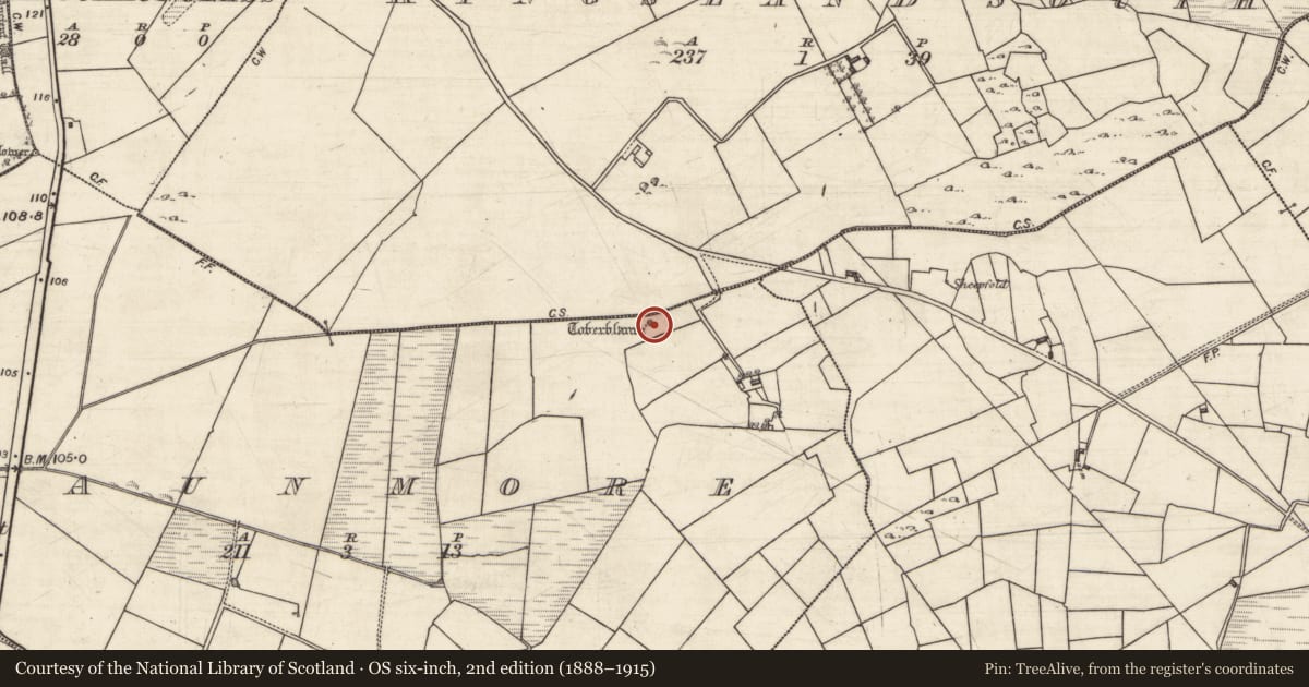 Ordnance Survey six-inch map, 2nd edition (1888–1915) covering the location of Ritual site - holy well, Baunmore, County Galway, with a pin at the register's coordinates