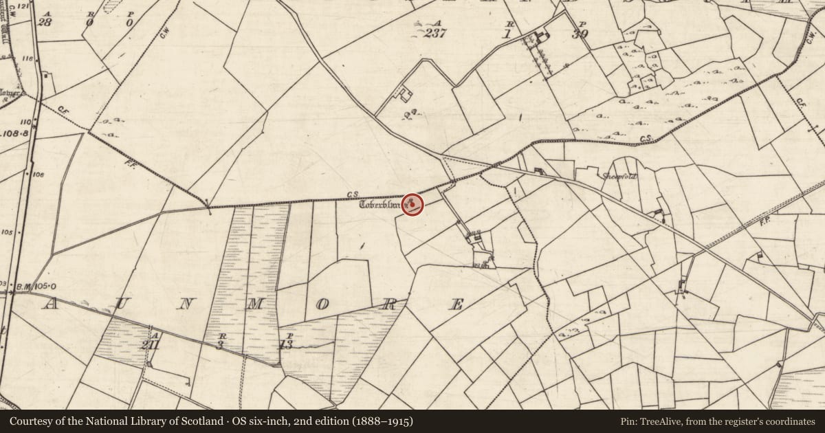 Ordnance Survey six-inch map, 2nd edition (1888–1915) covering the location of Cross, Baunmore, County Galway, with a pin at the register's coordinates