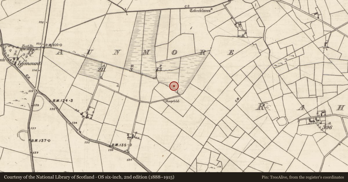 Ordnance Survey six-inch map, 2nd edition (1888–1915) covering the location of Fulacht fia, Baunmore, County Galway, with a pin at the register's coordinates