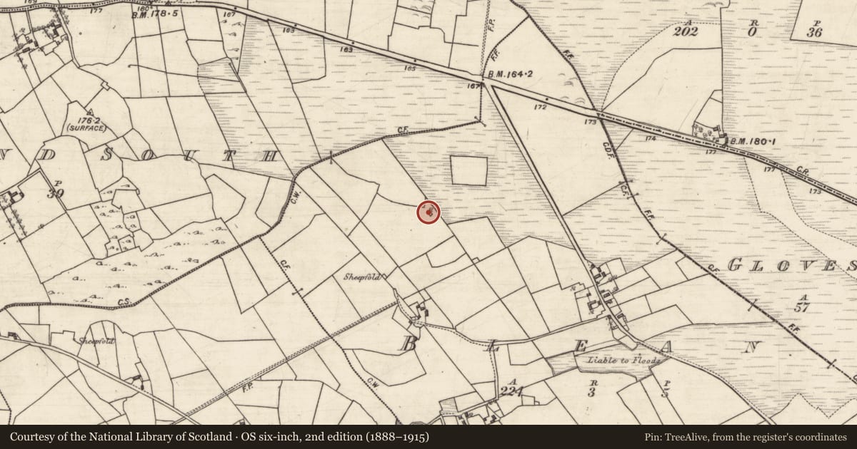 Ordnance Survey six-inch map, 2nd edition (1888–1915) covering the location of Children's burial ground, Blean, County Galway, with a pin at the register's coordinates